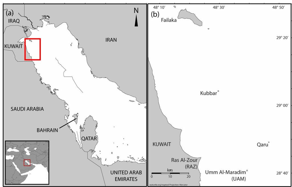 Boubiyan Island Figure 1. Nesting areas in Kuwait. Hawksbill nesting occurs at Qaru, RAZ and UAM.