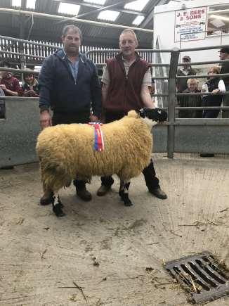 LLANDOVERY MARKET Wednesday 3 rd October 2018 60 SPECKLEDFACE RAMS & RAM LAMBS WJE, AM & IDP Price-Davies, Gellirhydd On behalf of the Eppynt Hill & Beulah Speckled Face Sheep Society Sale Approx 11.