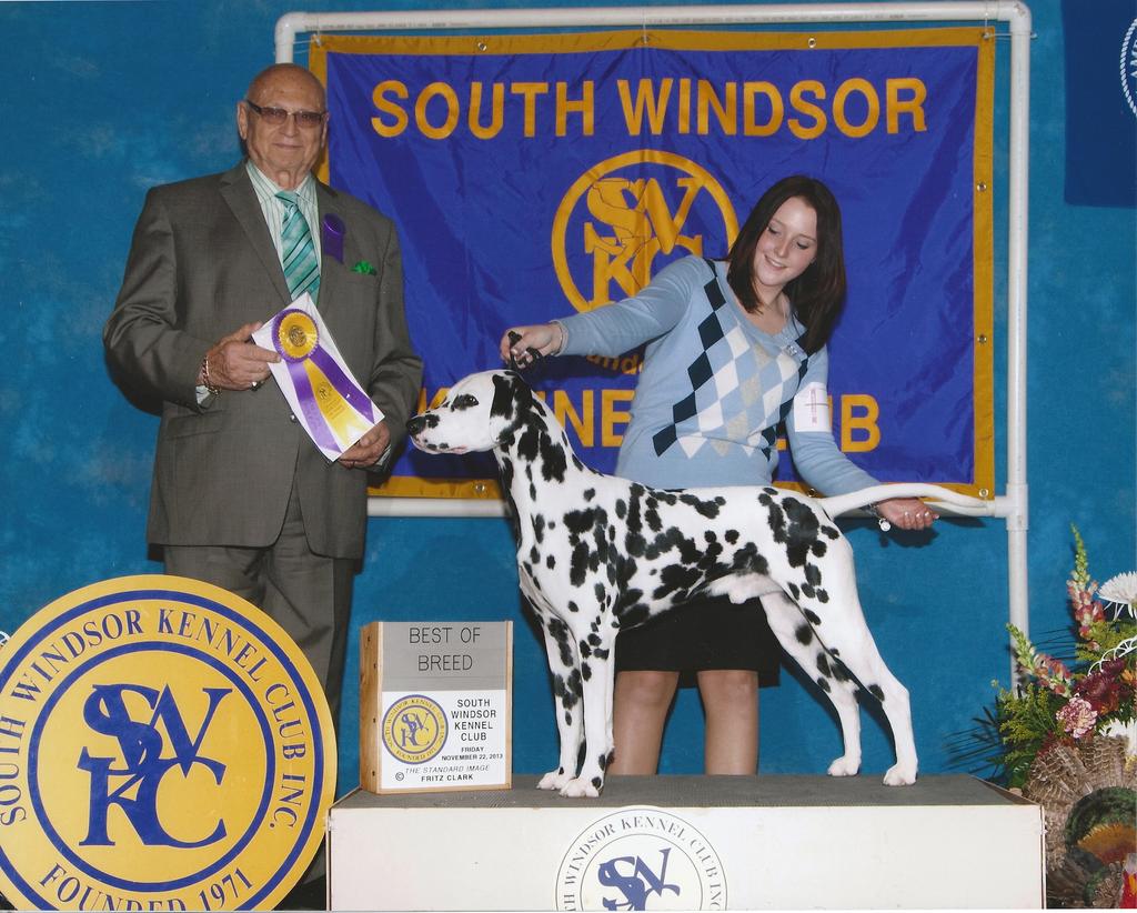Owned by Sandy Lajoie, Virginia Simpson & Karen McNamara NEW CHAMPION Erin s More Mountain Anemone RN owned by Kate Gilliatt earned her CH on November 23, 2013.