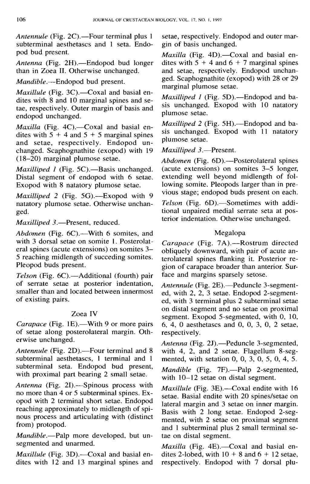 106 JOURNAL OF CRUSTACEAN BIOLOGY, VOL. 17, NO- I, 1997 Antennule (Fig. 2C). Four terminal plus 1 subterminal aesthetascs and 1 seta. Endopod bud present. Antenna (Fig. 2H).