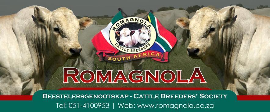 Romagnola sire which conforms to the requirements lay down by the regulations of the Romagnola Cattle Breeders Society. 1.2.3 FULL BLOOD SECTION (at least 93.