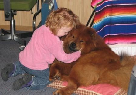 Any interaction between a dog and young children should be supervised.