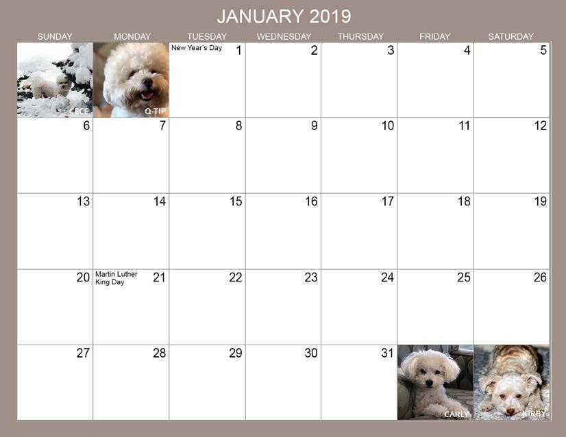 The 2019 Bichon FurKids calendar is ready to order