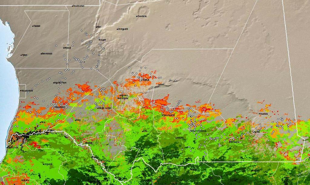 northern limit of potential breeding (summer 2016) unsurveyed area (Sep 2016) Nema SURVEYS Green annual vegetation development in the summer breeding areas of southern Mauritania peaked in September.