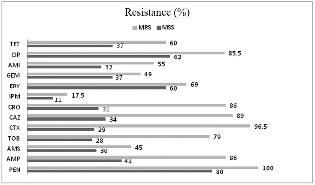 MRSA FROM BURN PATIENTS IN AHVAZ Fig. 2. Comparison of antibiotics resistance (%) in methicillin resistance staphylococci (MRS) and methicillin susceptible staphylococci (MSS).