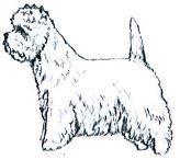 uk Cairn Terrier & West Highland White Terrier Logos are by Barbara Hands Cairn Judge Jill Peak (BAYARD) & Best Veteran In Show Jill Peak (BAYARD) WHWT Judge Suzanne MacBean (PRYORVALE) Guarantors to