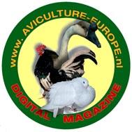 This is a publication by the online magazine www.aviculture-europe.
