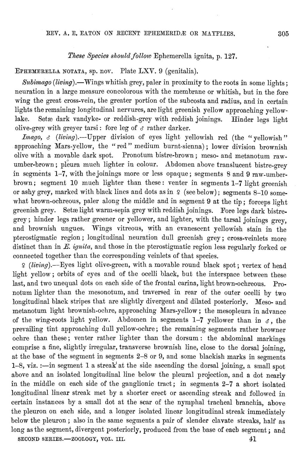 REV. A. E. EATON ON RECENT EPHEMERID.Ji: OR MAYFLIES. 305 EPHEMERELLA NOTATA, sp. nov. These Species should follow Ephemerella ignita, p. 127. Plate LXV. 9 (genitalia). Subimago (living).