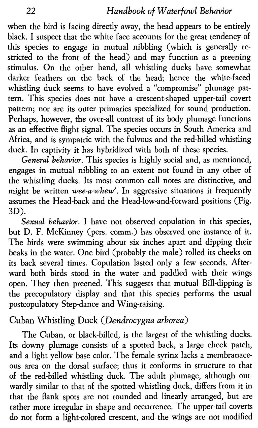 22 Handbook of Waterfowl Behavior when the bird is facing directly away, the head appears to be entirely black.