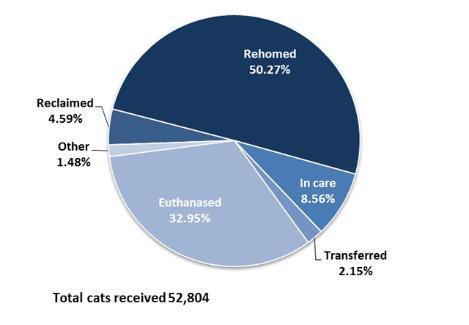 While 55% found new homes or reunited with their owners, 33% (or more than 17,000 cats and kittens) had to humanely euthanased* Outcomes for cats 2014-15 The Cat Protection Society in NSW has the