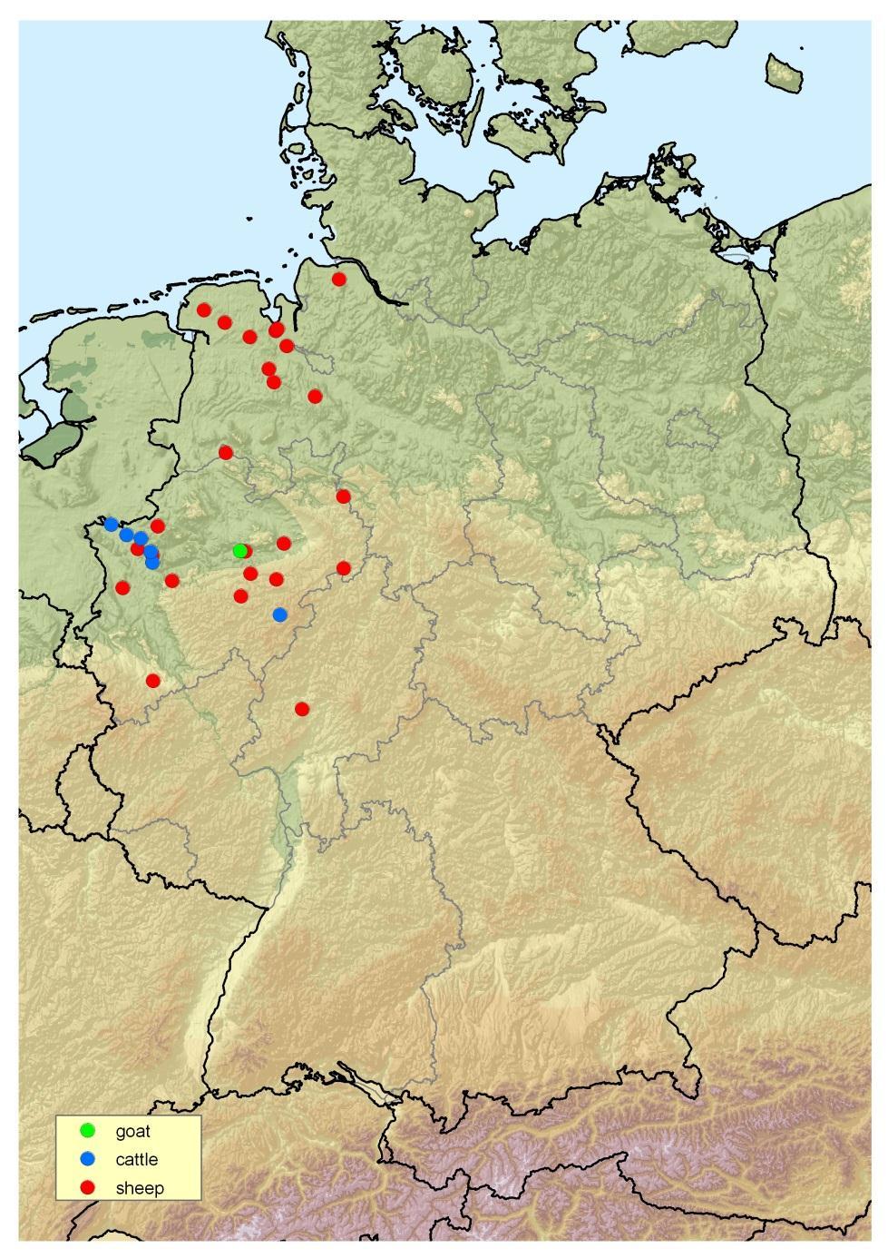 Epidemiological situation First cases in Germany Species Cattle Sheep