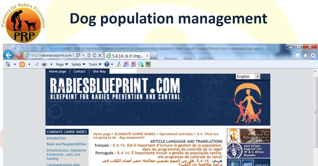 Dog population management