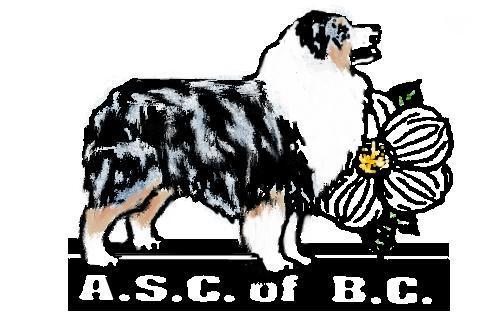 Australian Shepherd Club of British Columbia presents ASCA Agility, Obedience, & Rally ASCA Sanctioned NEW ACE Program -any dog 18 months or older can jump one height lower than their standard height