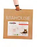 in cartone Cardboard cat
