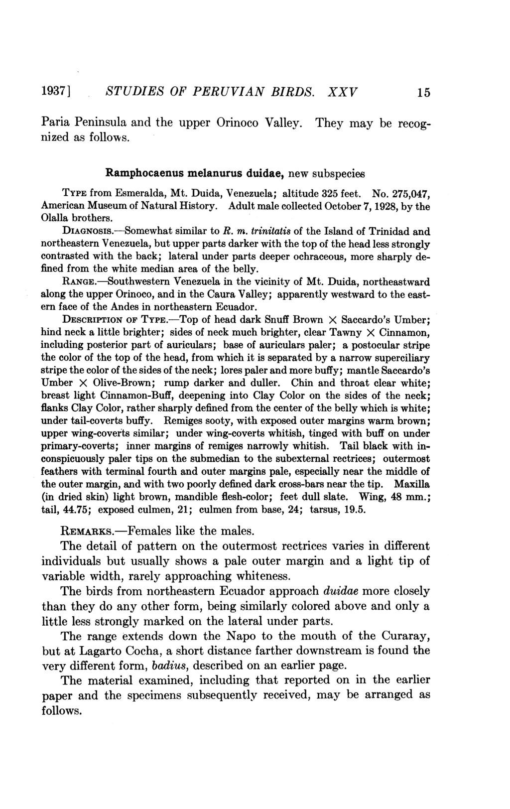 1937] STUDIES OF PERUVIAN BIRDS. XXV 15 They may be recog- Paria Peninsula and the upper Orinoco Valley. nized as follows. Ramphocaenus melanurus duidae, new subspecies TYPE from Esmeralda, Mt.