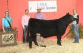 She was our Grand Champion SimAngus Female of the 2014 IL Simmental Field Day and she was also Reserve Senior Champion of the 2014 National Jr. MaineTainer Show.