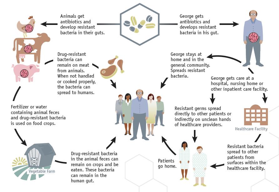 How does antimicrobial resistance spread?