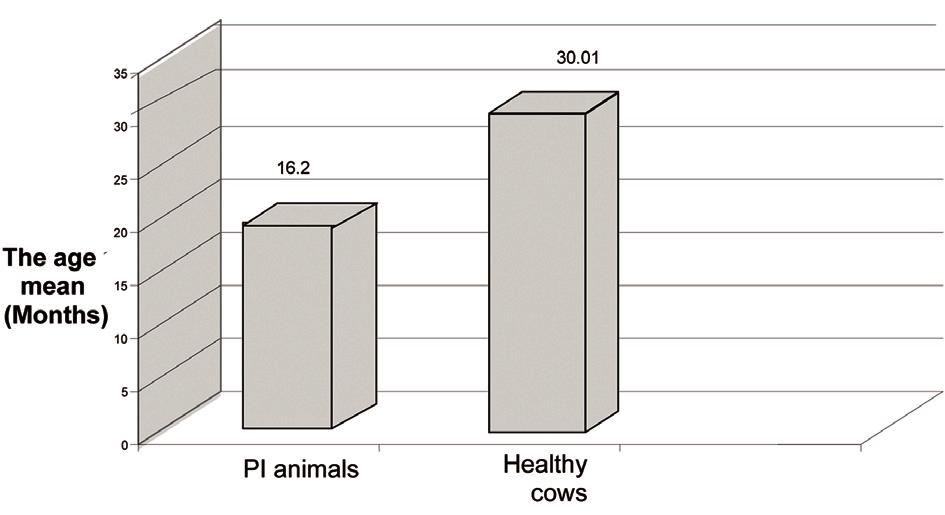 Talebkhan Garoussi, M International Journal of Veterinary Research apparent prevalence, using the equation: True prevalence = (Apparent prevalence + Sp - 1)/(Se + Sp - 1).