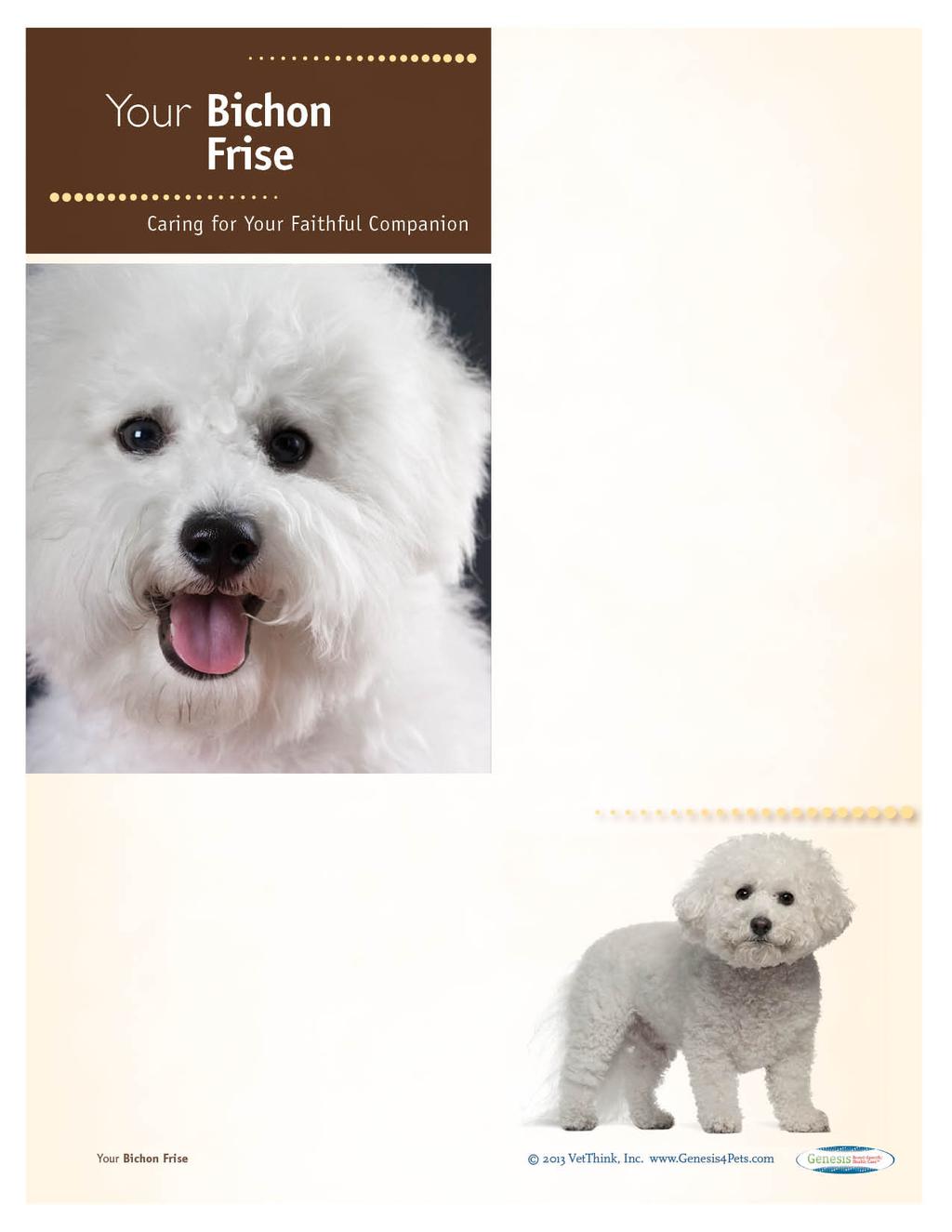 Bichon Frises: What a Unique Breed! Your dog is special! She's your best friend, companion, and a source of unconditional love.