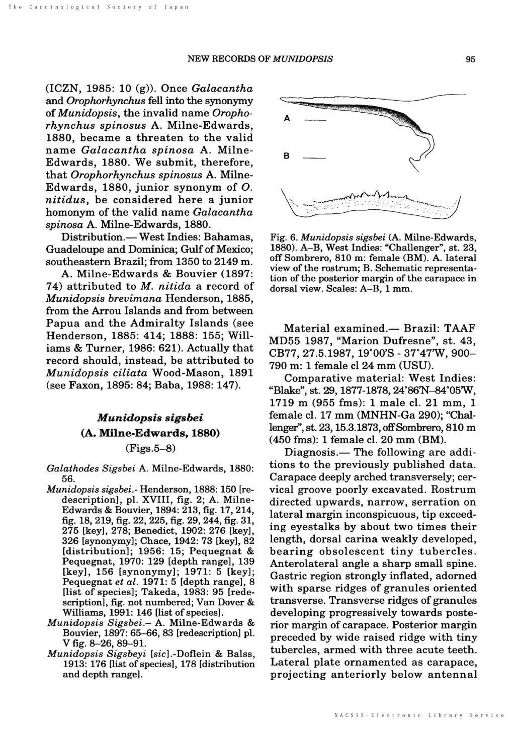 NEW RECORDS MUNIDOPSIS 95 (ICZN, 1985: 10 (g)). Once Galacantha and Orophorhynchus fell into the synonymy of Munidopsis, the invalid name Orophorhynchus spinosus A.