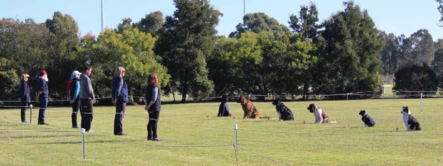 Bairnsdale & District Dog Obedience Club Inc DOUBLE OBEDIENCE & RALLY OBEDIENCE TRIAL Saturday 9 th June 2018 3 rd oval Lucknow Recreation Reserve, Great Alpine Road, Bairnsdale 3875 Judging AM