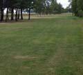 The grassed area designatedd for off leash use is demarked by trees along the east edge and also because the grass