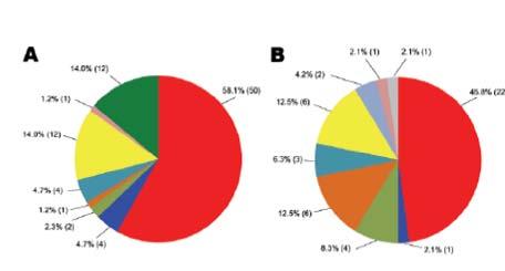We are what we eat: ESBL genes in enterobacteria from chicken meat and humans in the same