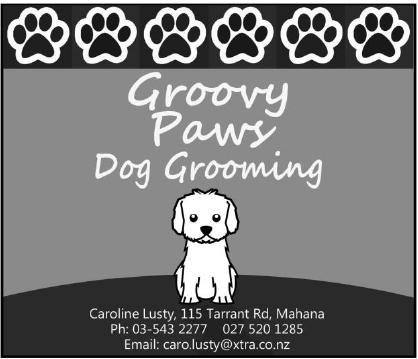 I have a purpose-built modern grooming room and I provide a friendly relaxed and calm environment for your dogs.