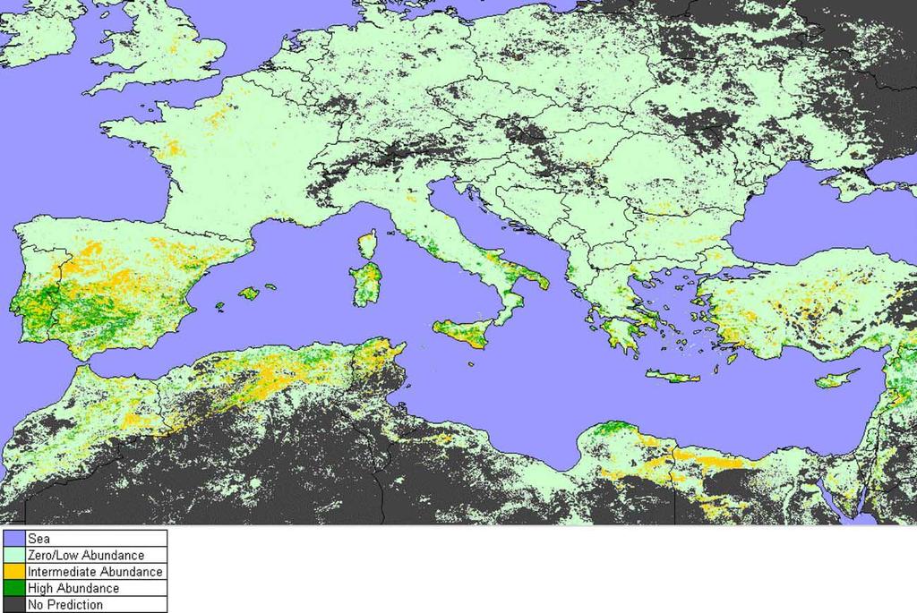 Figure 3: Abundances of Culicoides imicola around the Mediterranean basin predicted by a