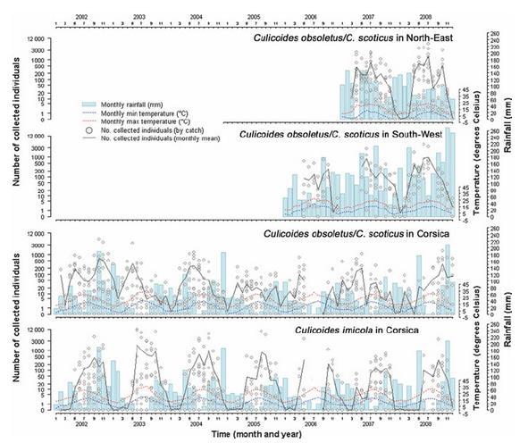 Figure 14: Seasonal dynamics of Culicoides imicola and Culicoides obsoletus/c. scoticus in Corsica and of Culicoides obsoletus/c. scoticus in mainland France. Germany (Hoffman et al.