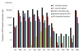 Figure 15: Monthly catches of midges of the Obsoletus group (black), Pulicaris group (red), and other Culicoides spp. (blue). The Netherlands (Meiswinkel et al. 2013, Takken et al. 2008).