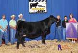 Love Me S311 Selling 3 #1 IVF Sexed Heifer Embryos by SC Pay The Price Pedigree of Sire: CNS Pays To Dream T759 x LLSF Ura Baby Doll U194 Est Plan Mating EPDs: 10.95 59 87.18 5 19 49 11 5.