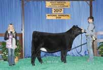 LLSF Better Believe It Pedigree of Sire: LLSF Pays To Believe ZU194 x LLSF Cayenne UP401 Est Plan Mating EPDs: 8 2.7 67 96.18 4 20 53 12 