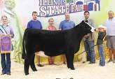 This flush on the recent 2018 National SimAngus Female at the North American International Livestock Exposition is sure to be a highlight of the genetic offered in the SimMagic.