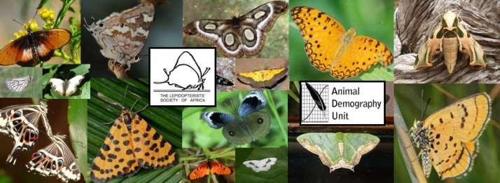 Megan Loftie-Eaton LepiMAP is a fantastic Citizen Science project which is run in partnership by the Lepidopterists Society of Africa and the Animal Demography Unit, University of Cape Town.
