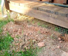 your property. In areas where iguanas burrow or dig, consider installing chicken wire fencing.