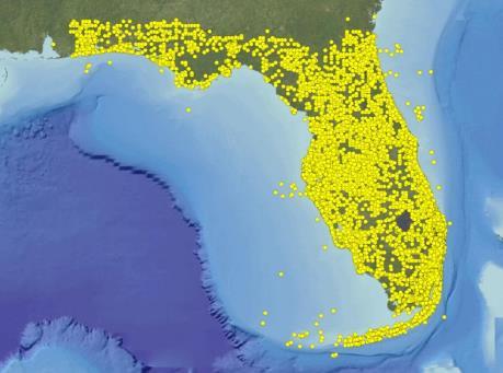 Nonnative Species in Florida Over 500 species of nonnative fish and wildlife observed More than 50 species of nonnative reptiles established in Florida Although invasive species are not a problem