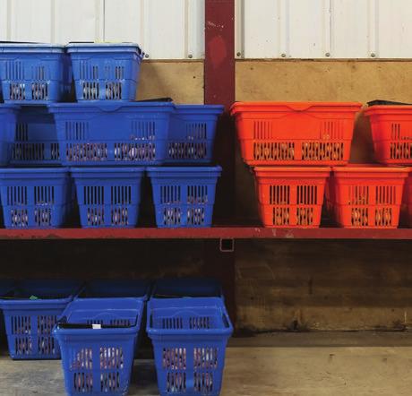 Selection takes place in the hatchery and the system we have in place makes it easy to trace eggs which is vital in any hatchery for both Breeding Stock and Sold Stock.