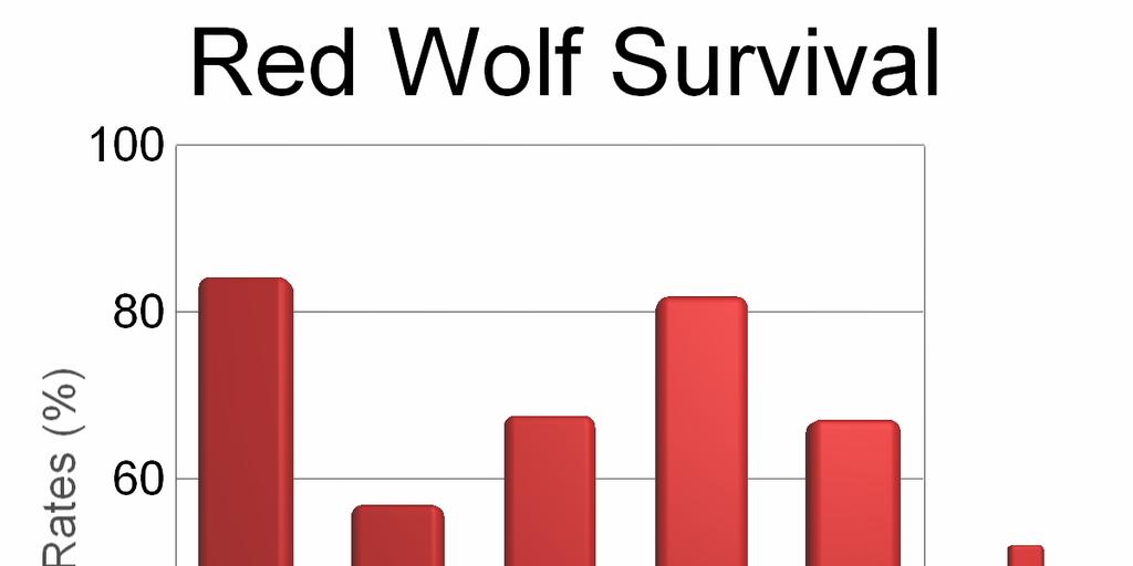 Figure 6. Survival rates of specific red wolf cohorts (D. Murray 2004, unpublished data). Wild born red wolves showed higher survival than captive born or island born red wolves.