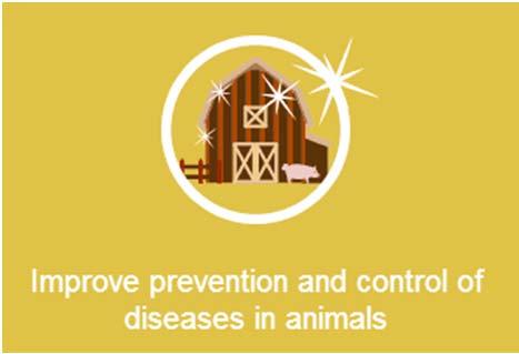 All farms to have farm health plan Programme of disease prevention with measurable farm-level outcomes (primary, secondary, tertiary prevention) o Consider