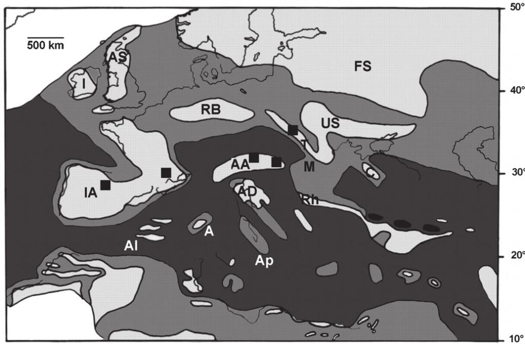 isolation. The geographical and temporal distribution of Rhabdodon and Zalmoxes suggest that these two taxa diverged as early as the Early Campanian.