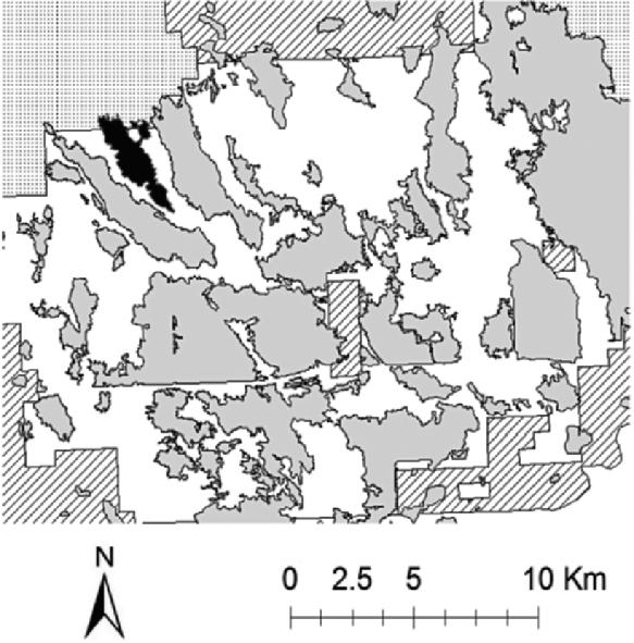 Figure 1. Maximum extent of prairie dog colonies (solid grey) in 2005 within the Conata Basin region of the Buffalo Gap National Grassland managed by the U.S.