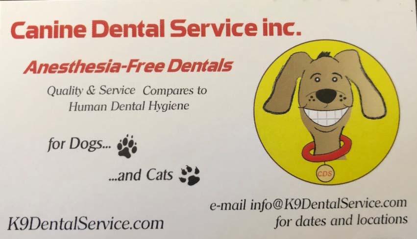 Anesthesia free Canine Dental by Linda Gray My recent experience with Anesthesia free dental cleaning at All the Best Pet store was fantastic. This shop hosts K9 Dental Service.