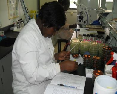 Background: Clinical Microbiology In Ghana Information on frequently isolated bacterial species (eg S aureus (MSSA/MRSA)) is limited Few