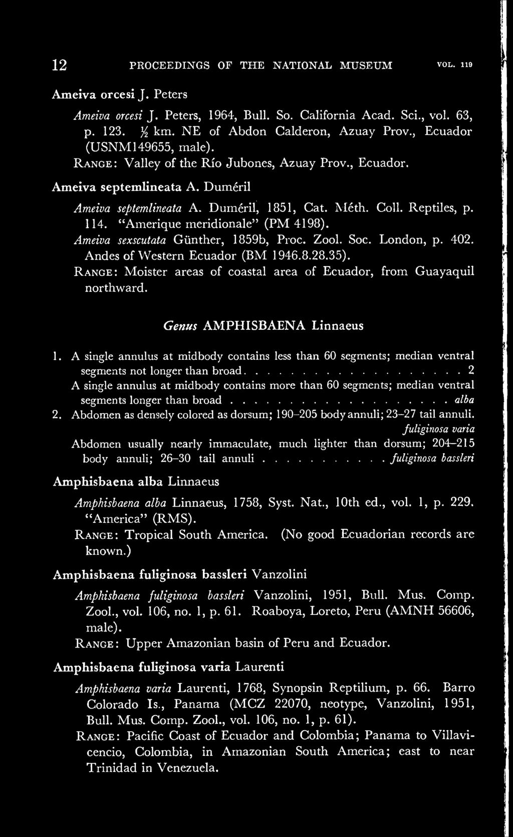"Amerique meridionale" (PM 4198). Ameiva sexscutata Giinther, 1859b, Proc. Zool. Soc. London, p. 402. Andes of Western Ecuador (BM 1946.8.28.35).