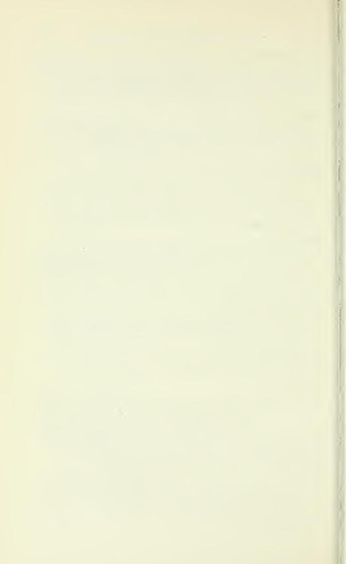 18 PROCEEDINGS OF THE NATIONAL MUSEUM vol. 119 Anolis punctatus boulengeri O'Shaughnessy Anolis nasicus. O'Shaughnessy, 1880, Proc. Zool. Soc. London, p.