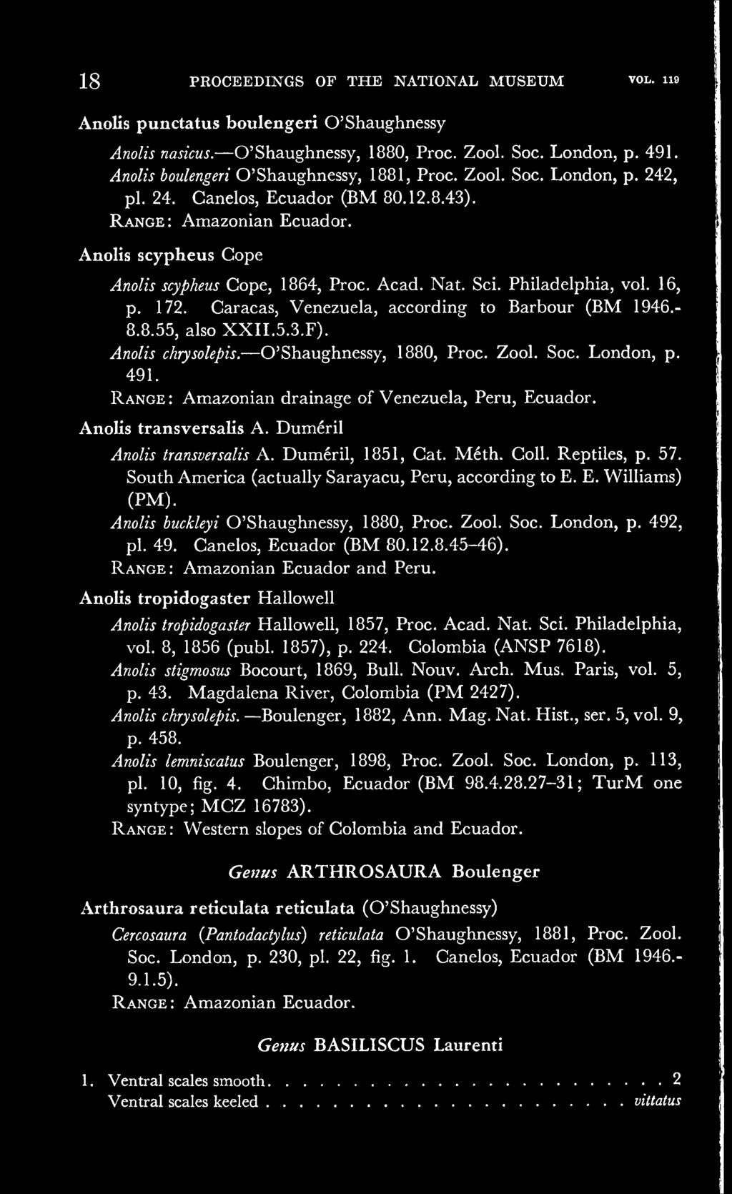 South America (actually Sarayacu, Peru, according to E. E. Williams) (PM). Anolis buckleyi O'Shaughnessy, 1880, Proc. Zool. Soc. London, p. 492, pi. 49. Canelos, Ecuador (BM 80.12.8.45-46).