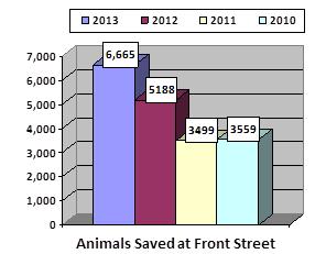 About the Front Street Animal Shelter Our Mission We attempt to save them all, because they are all worth saving!