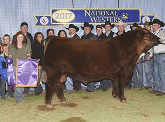 SIX MILE FIFTH GEAR 275X RED DURALTA 54T MS ARABIA 5W Dam: RED BAR-E-L TOO TOO 218C RED BAR-E-L KASSIE 117X ight our Red Angus division as they f crop.