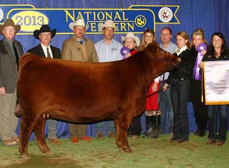 Navarre 6054 *** Lot 20C is exportable to Canada Six Mile Lakota 112Y Dam of the 6054